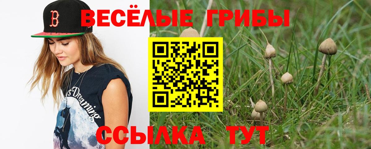 Павловский Посад  Галлюциногенные грибы Psilocybe  Вход с VPN  Галлюциногенные грибы прущие грибы 